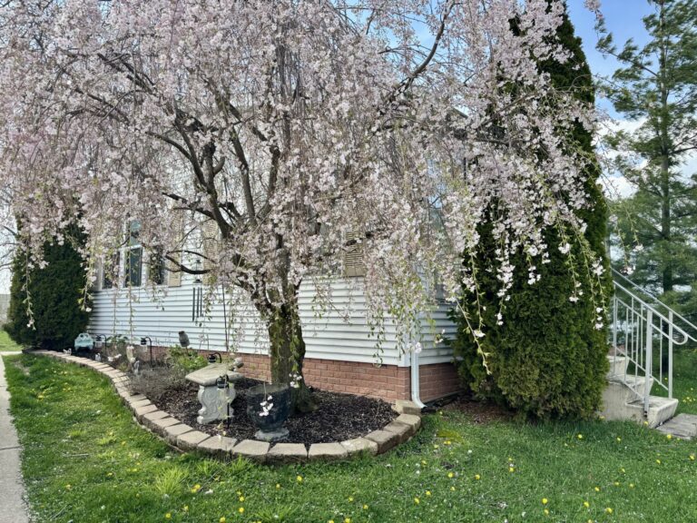 32987 Primrose Court New Haven MI 48048